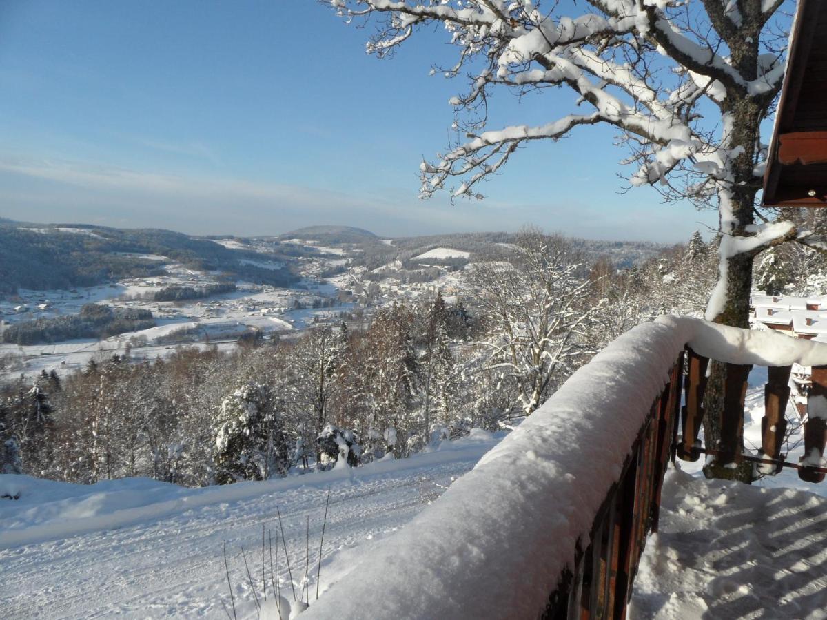 Chalet Les Moraines 8 Le Tholy Dış mekan fotoğraf