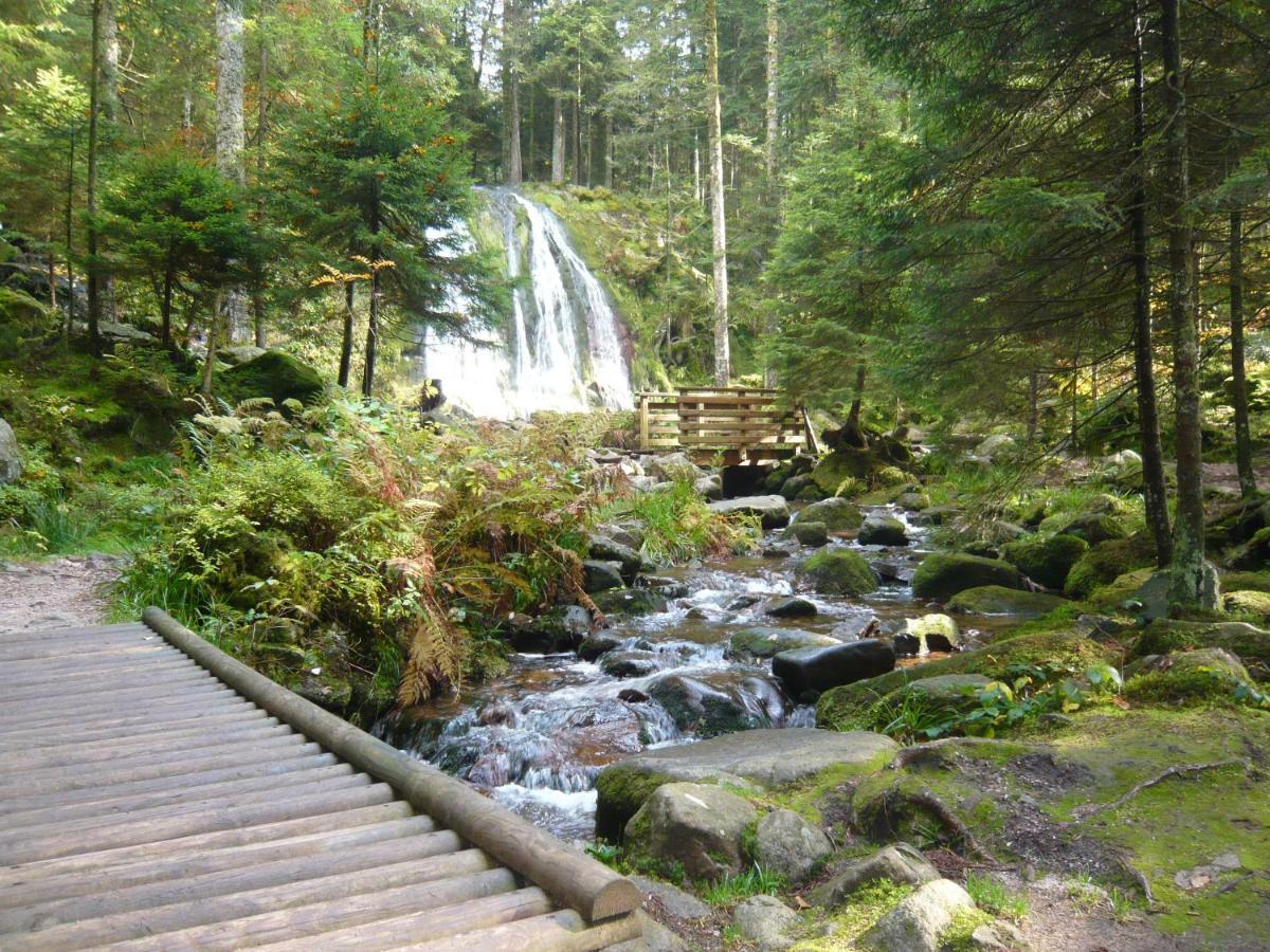 Chalet Les Moraines 8 Le Tholy Dış mekan fotoğraf