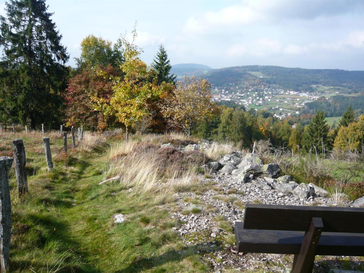 Chalet Les Moraines 8 Le Tholy Dış mekan fotoğraf